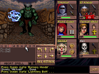 Eye of the Beholder III: Assault on Myth Drannor